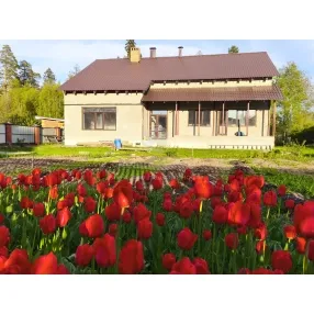 Жилой дом на участке